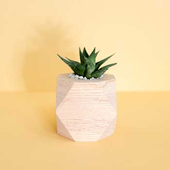 免费短信电话轰炸机